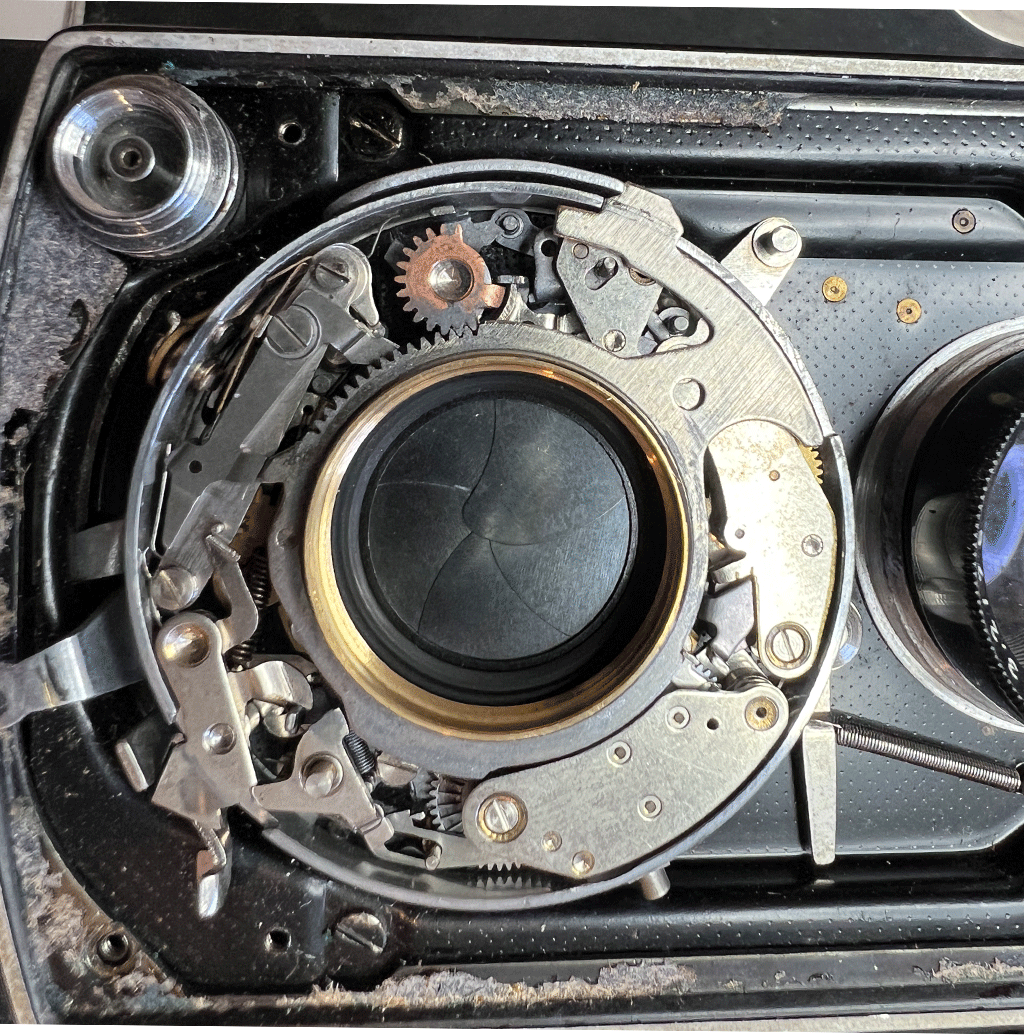 Film camera repairs and servicing – Classic Camera